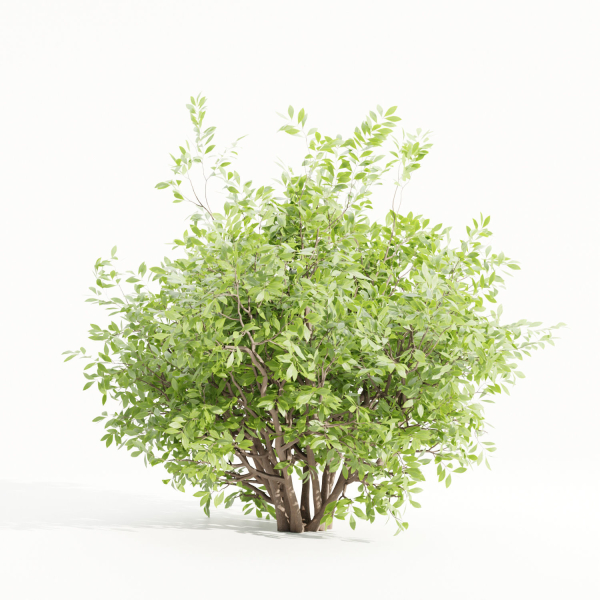 Bushes collection vol 154-Blender