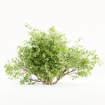 Bushes collection vol 154-Blender