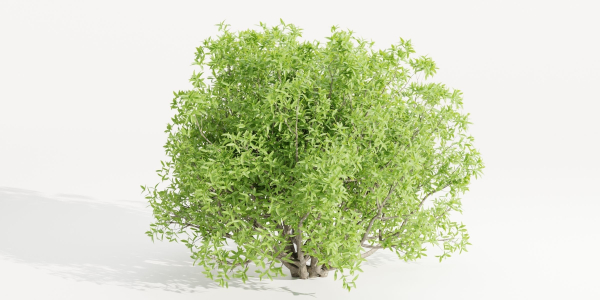 Bushes collection vol 191-Blender