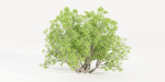 Bushes collection vol 191-Blender
