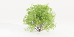 Bushes collection vol 191-Blender