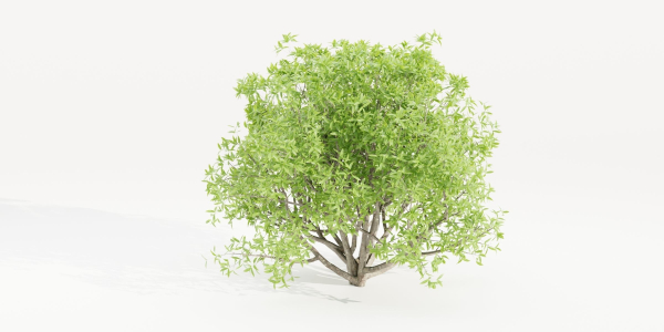 Bushes collection vol 191-Blender