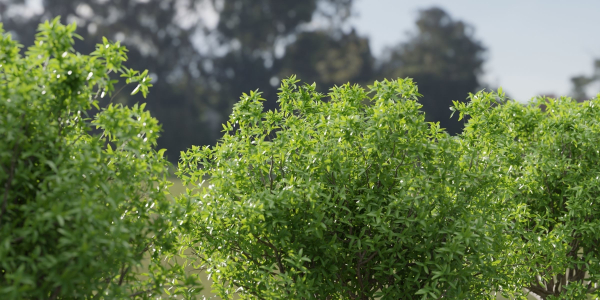 Bushes collection vol 191-Blender