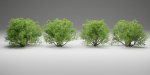 Bushes collection vol 191-Blender