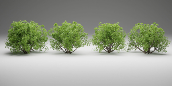 Bushes collection vol 191-Blender