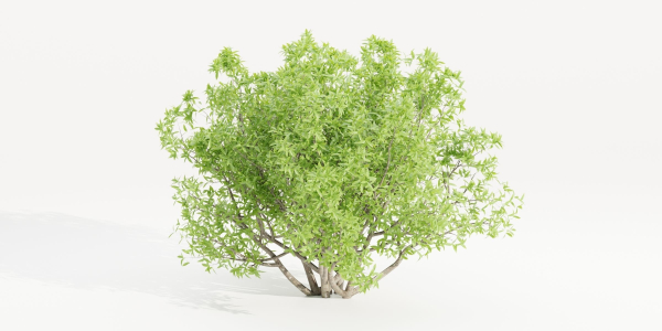 Bushes collection vol 191-Blender
