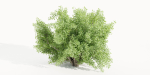 Bushes for garden collection vol 210-Blender