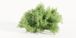 Bushes for garden collection vol 210-Blender