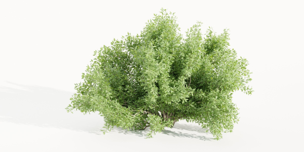 Bushes for garden collection vol 210-Blender