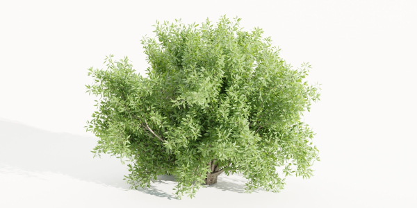 Bushes for garden collection vol 210-Blender