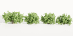 Bushes for garden collection vol 210-Blender