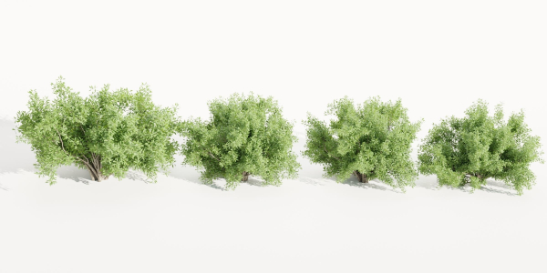 Bushes for garden collection vol 210-Blender