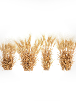 bushes-of-dry-ears-of-wheat-for-landscape-design-1207-3d-model-de5322cf5f
