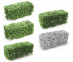 Buxus Sempervirens Hedge 01