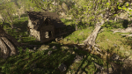 Cabin River Scene