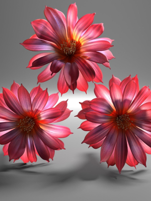 cactus-flower-in-bloom-3d-model-obj-fbx-blend