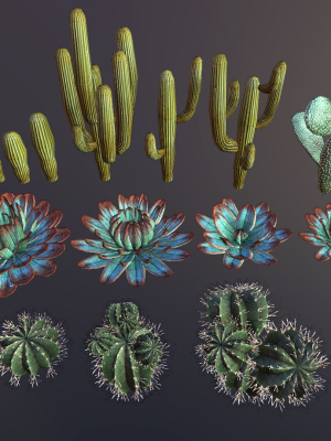 cactuses-3d-model-low-poly-fbx-unitypackage-uasset