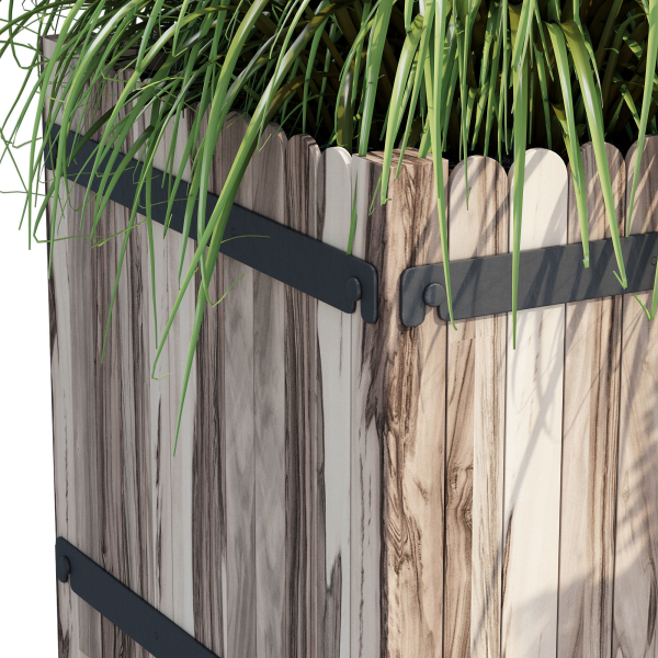 Campion three plants in wooden boxes
