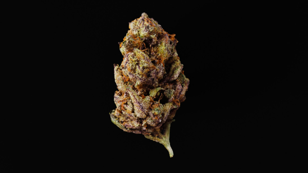 Cannabis Marijuana Weed Bud 02