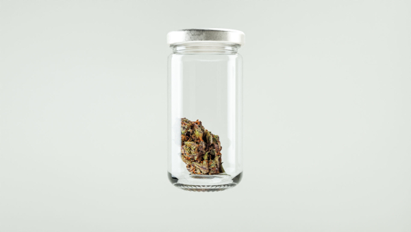 Cannabis Marijuana Weed Bud 02