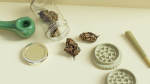 Cannabis Marijuana Weed Bud 02