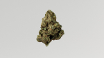 Cannabis Marijuana Weed Bud