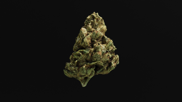 Cannabis Marijuana Weed Bud