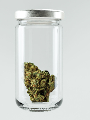 cannabis-marijuana-weed-bud-3d-model-d417ce2980