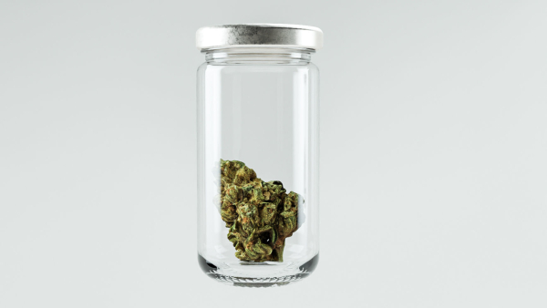 Cannabis Marijuana Weed Bud