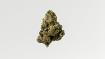 Cannabis Marijuana Weed Bud