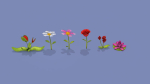 Cartoon Flowers