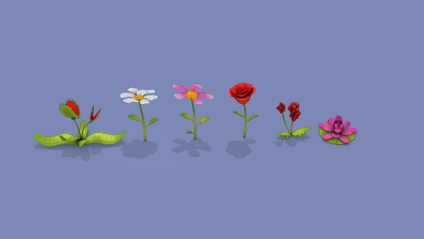 Cartoon Flowers