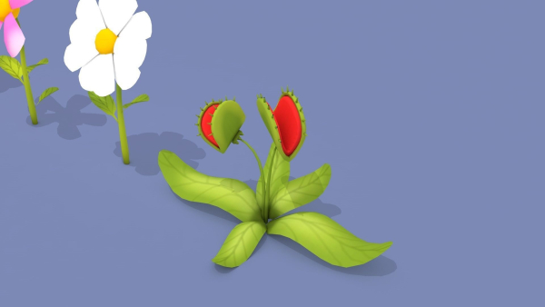 Cartoon Flowers