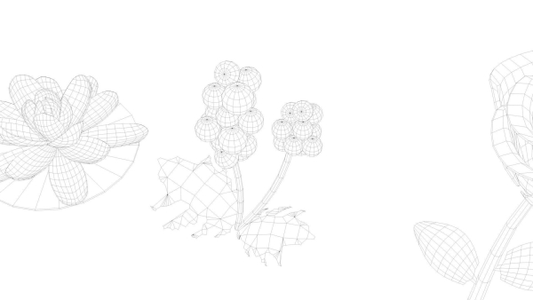 Cartoon Flowers