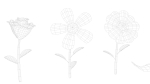 Cartoon Flowers