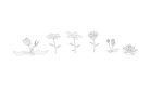 Cartoon Flowers