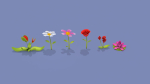 Cartoon Flowers