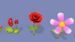 Cartoon Flowers