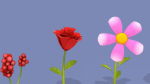 Cartoon Flowers