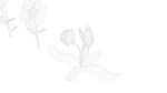 Cartoon Flowers
