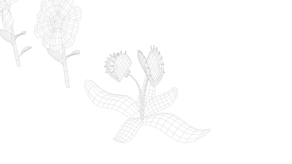 Cartoon Flowers