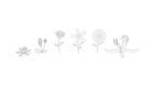 Cartoon Flowers