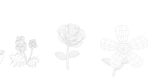 Cartoon Flowers