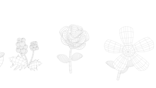 Cartoon Flowers
