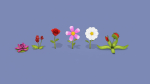 Cartoon Flowers