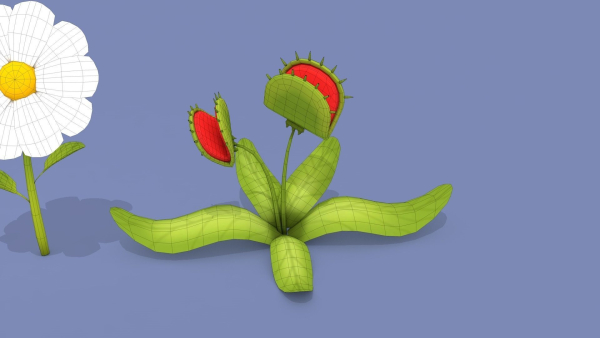 Cartoon Flowers