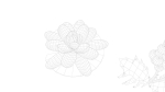 Cartoon Flowers