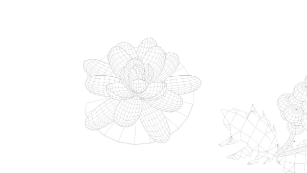 Cartoon Flowers