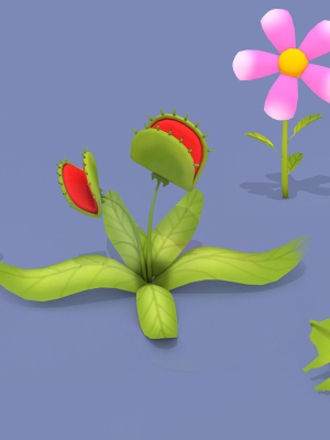 Cartoon Flowers