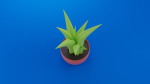 Cartoon plant